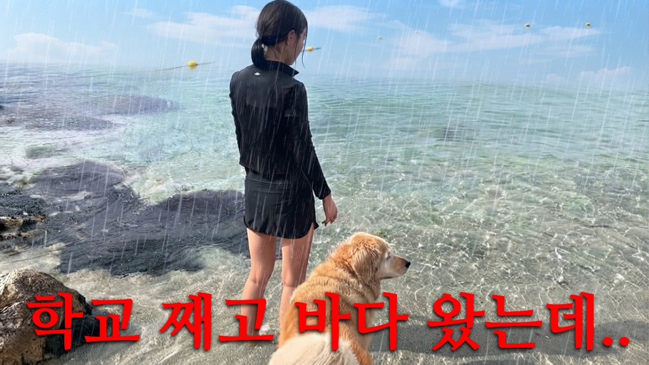 학교 째고 바다에 왔는데.. 천둥번개치고 비가 쏟아진다⛈️