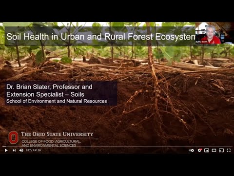 Soil Health in Urban and Rural Forest Ecosystems