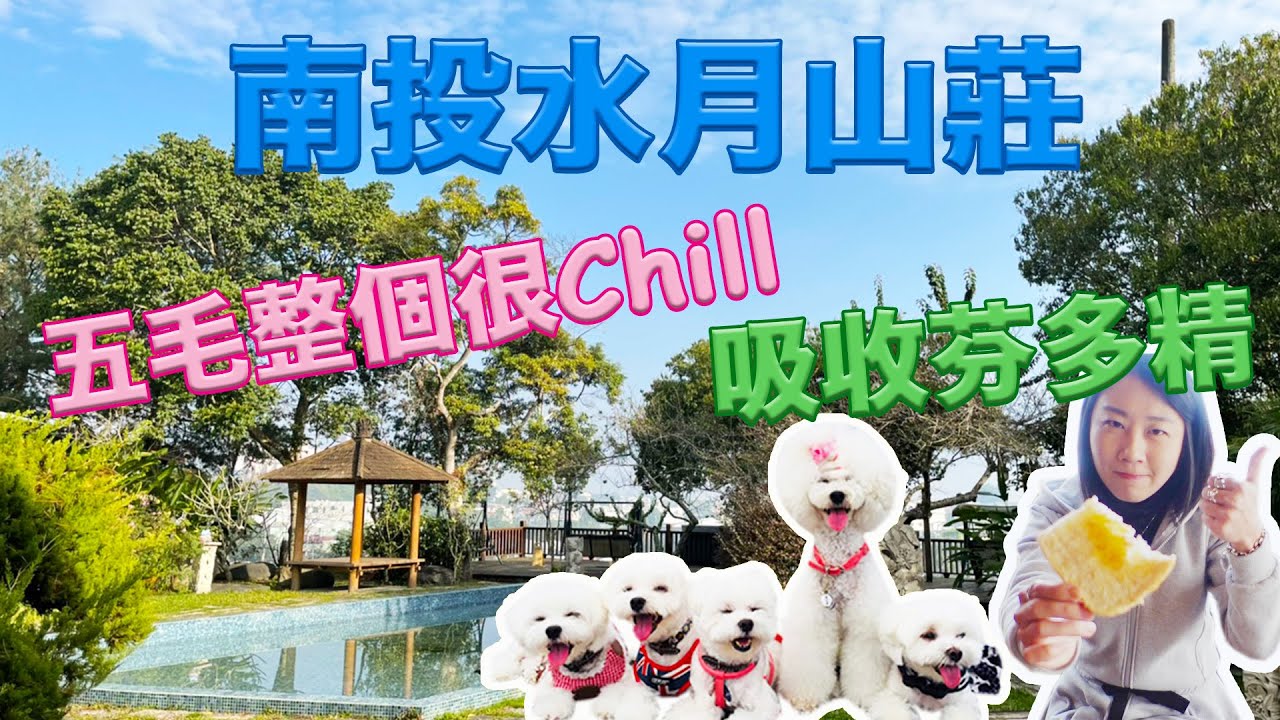 南投 水月山莊 非常棒的寵物友善民宿 吸收芬多精 五毛整個很chill 2019年新開幕的南投埔里景觀餐廳 有水 居創意餐坊 好吃好拍的寵物友善餐廳 南投埔里 寵物友善民宿 南投旅遊 Youtube