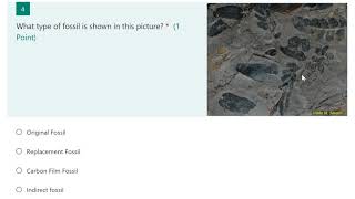 Question 4