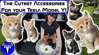 Cutest Accessories for your Tesla Model Y!