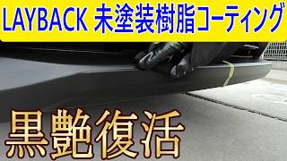 LAYBACK】Restoring the Shine to Aged, Unpainted Plastic Trim - YouTube
