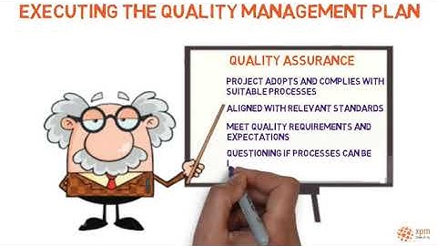 Quality Assurance and Quality Audits