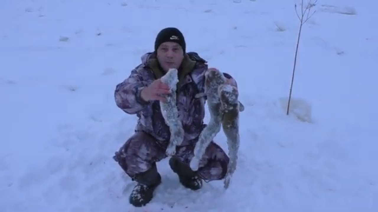 Налим на оке