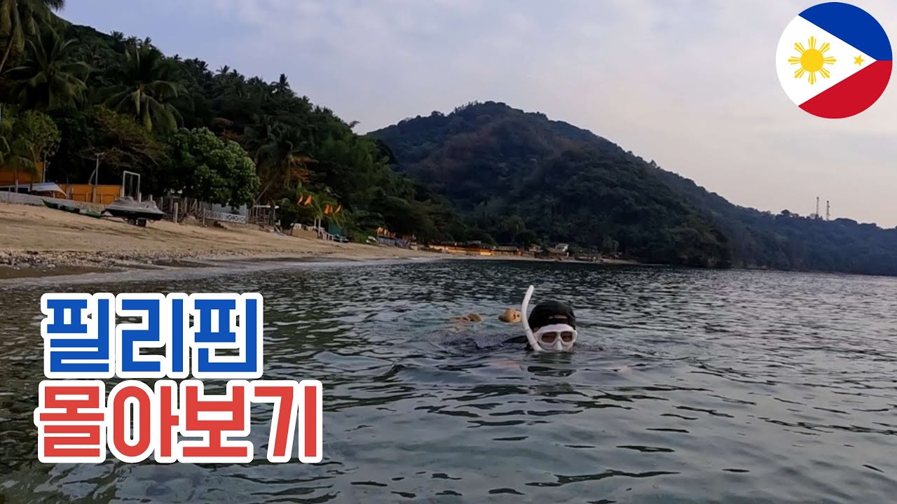 필리핀 여행 몰아보기 🇵🇭