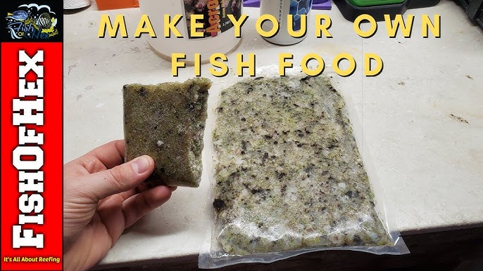 HOW TO: make your own fish food TUTORIAL 