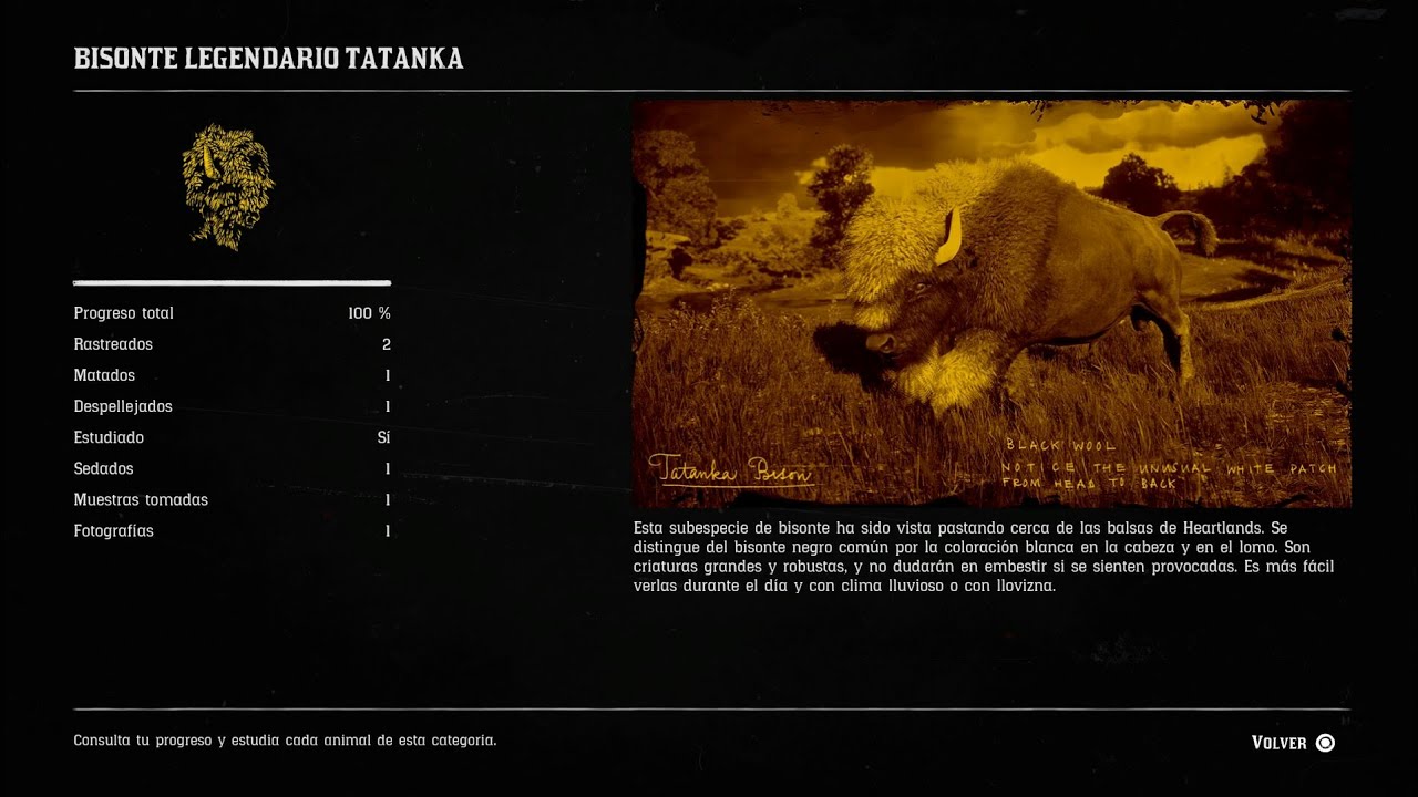 Red Dead online.BISONTE LEGENDARIO TATANKA - YouTube