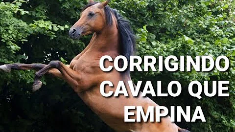 O que fazer quando o cavalo empina?