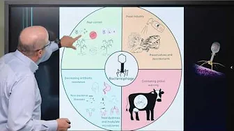 This New Theory Could Change Microbiology Forever - Dr. Joe Francis