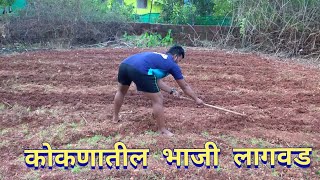 कोंकणातील पावसाळी भाजी लागवड | Vegetable Farming in Konkan