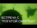 Встреча с рогатой смертью