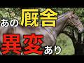 あのトップトレーナーがまさかの不調気味？これはたまたまか訳ありか。