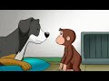 George at Doggy Daycare 🐵Curious George 🐵Kids Cartoon 🐵Kids Movies 🐵Videos for Kids