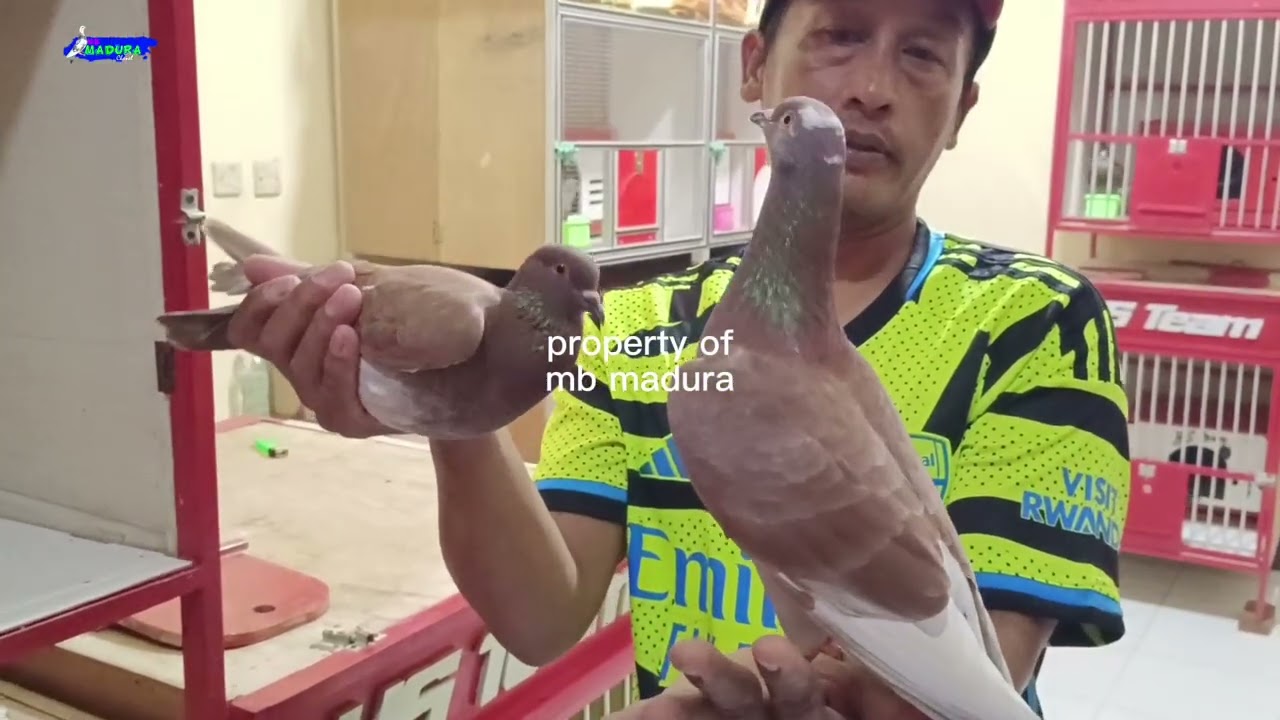 3 BINTANG HS DONE DEAL KE RADJA PEMALANG 2026