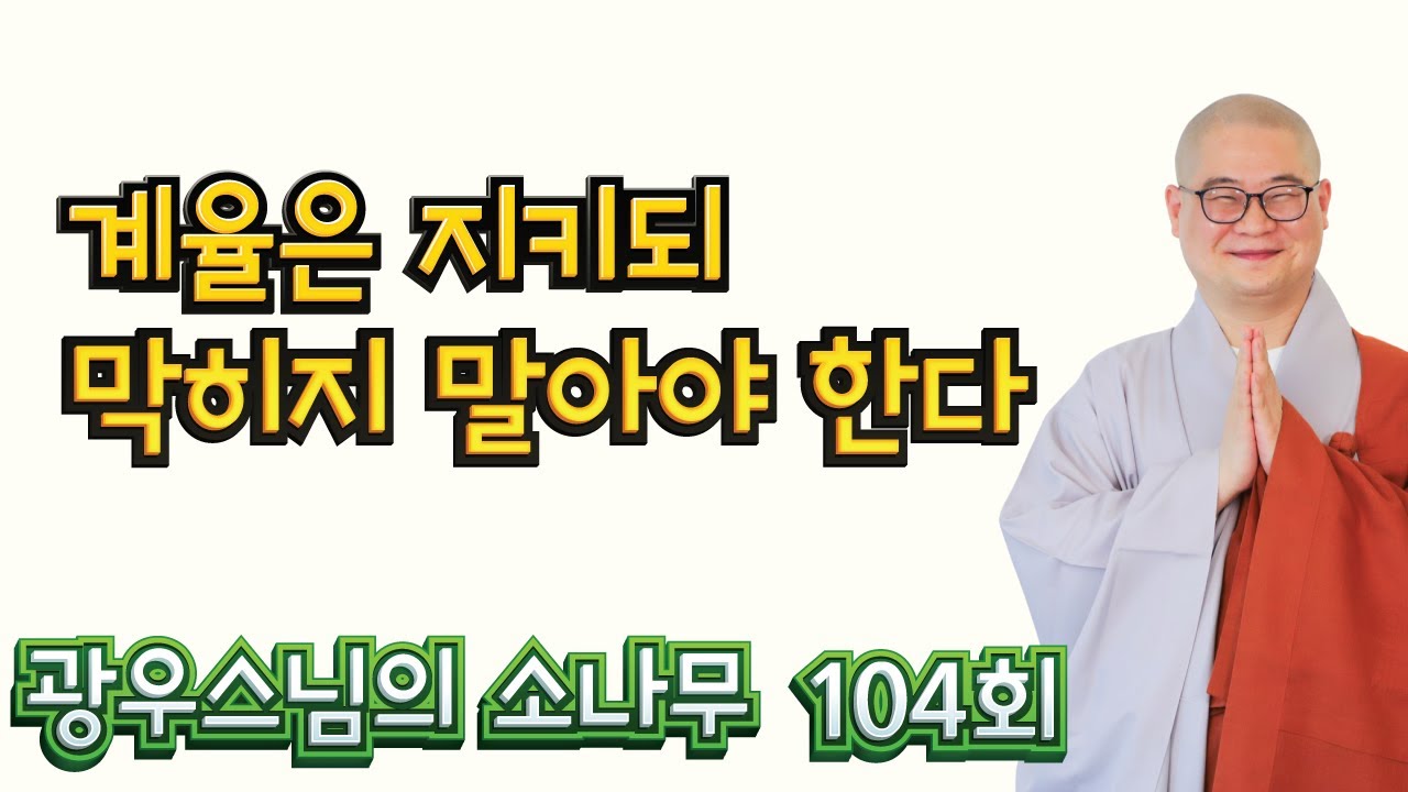 계율은 지키되 막히지 말아야 한다 | 광우스님의 소나무 104회