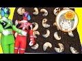 ❤ひまわりおねえさん❤キュウレンジャー おもちゃ カブトムシの幼虫 お外