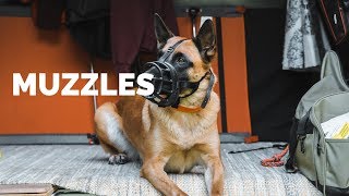 Muzzles  What's the DIFFERENCE?!