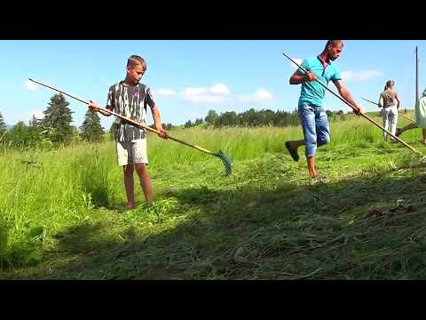 What a Carpathian Family of 7 Eats After Making Hay by Hand
