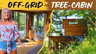 We try an OFF-GRID Tree Cabin (+ birthday pub crawl!) 🍻