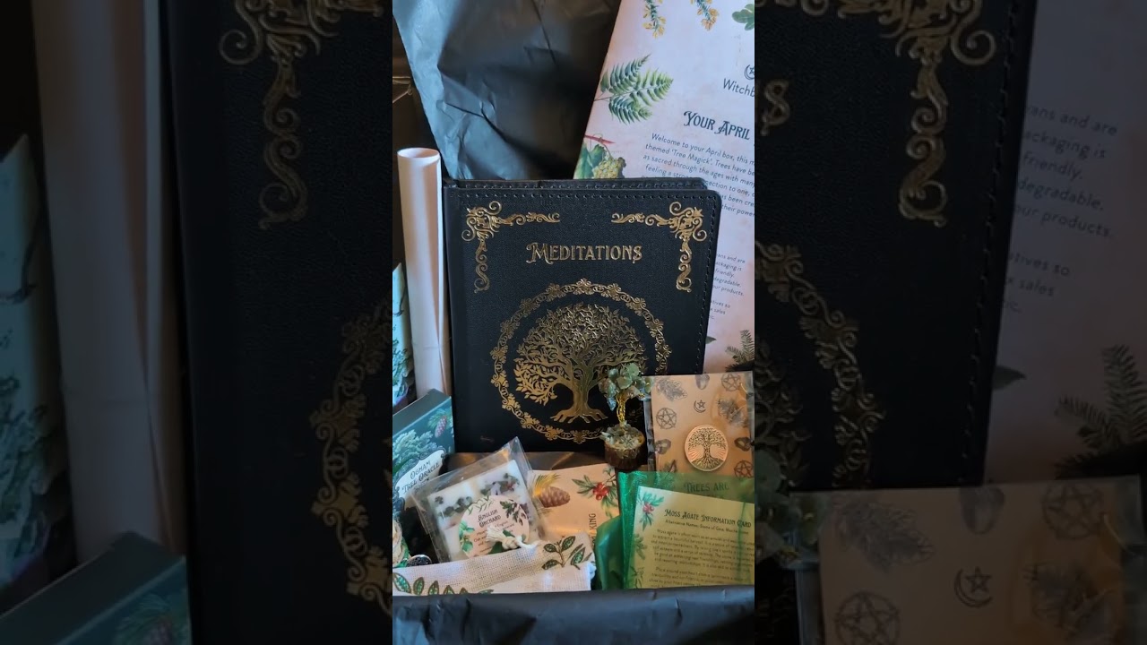 Witch Box Uk April 2024 Tree Magick Review Reaction and Unboxing 