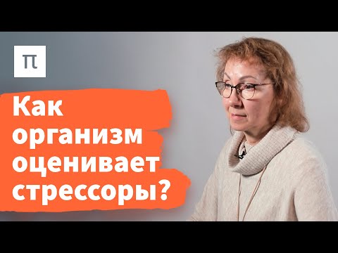 Общий адаптационный синдром — Анна Усенко / ПостНаука