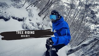 Tree Riding 樹林中高速滑行的關鍵