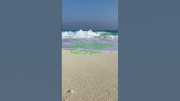 #تلاوة_قرآن #القرآن_الكريم #quran #qurankareem #تلاوة_مؤثرة #خشوع #quranforthesoul #qurandaily