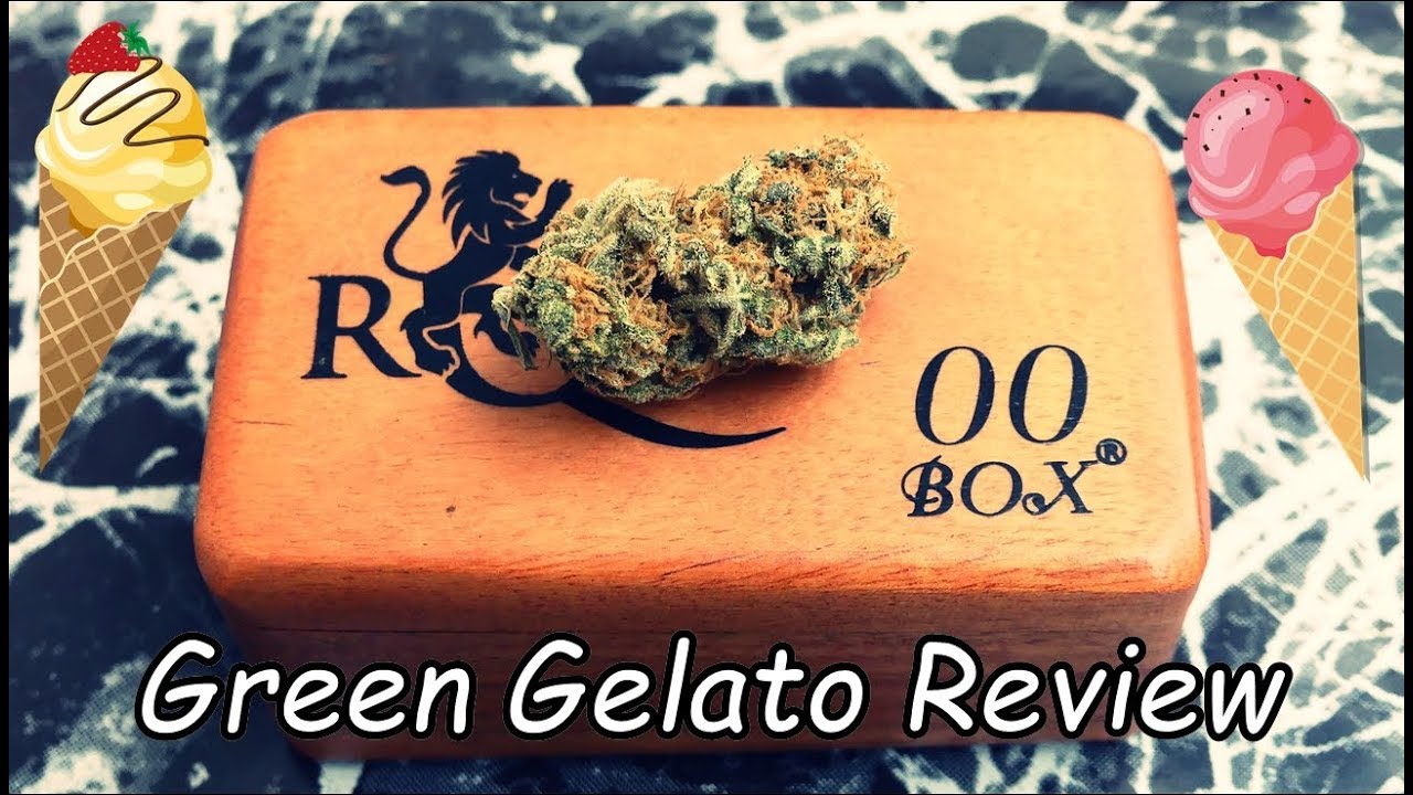 GREEN GELATO REVIEW | UNA VARIEDAD EXPLOSIVA DE SABOR 🍁
