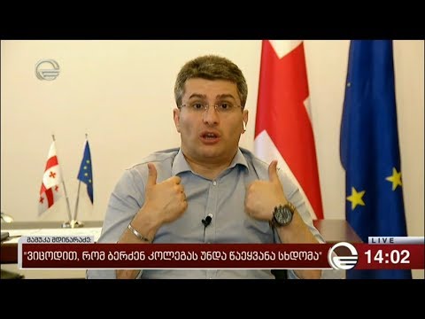 მამუკა მდინარაძე პარლამენტში მომხდარი ინციდენტის მიზეზს განმარტავს