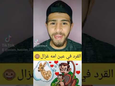 حكاية مثل القرد في عين امه غزال امثال شعبيه