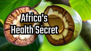 Bitter Kola: Africa's Hidden Health Secret