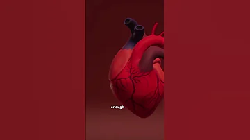 How Many Times Does Your Heart Beat In A Lifetime 