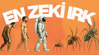 Örümcekleri̇n İnsanlardan Üstün Olduğu Evren