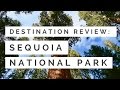 Sequoia National Park | Hiking Among the Oldest &amp; Largest Trees in the World