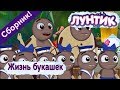 Лунтик 🐜 Жизнь букашек 🐜 Сборник мультфильмов
