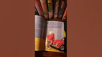Stuart Little 2000 DVD Overview 