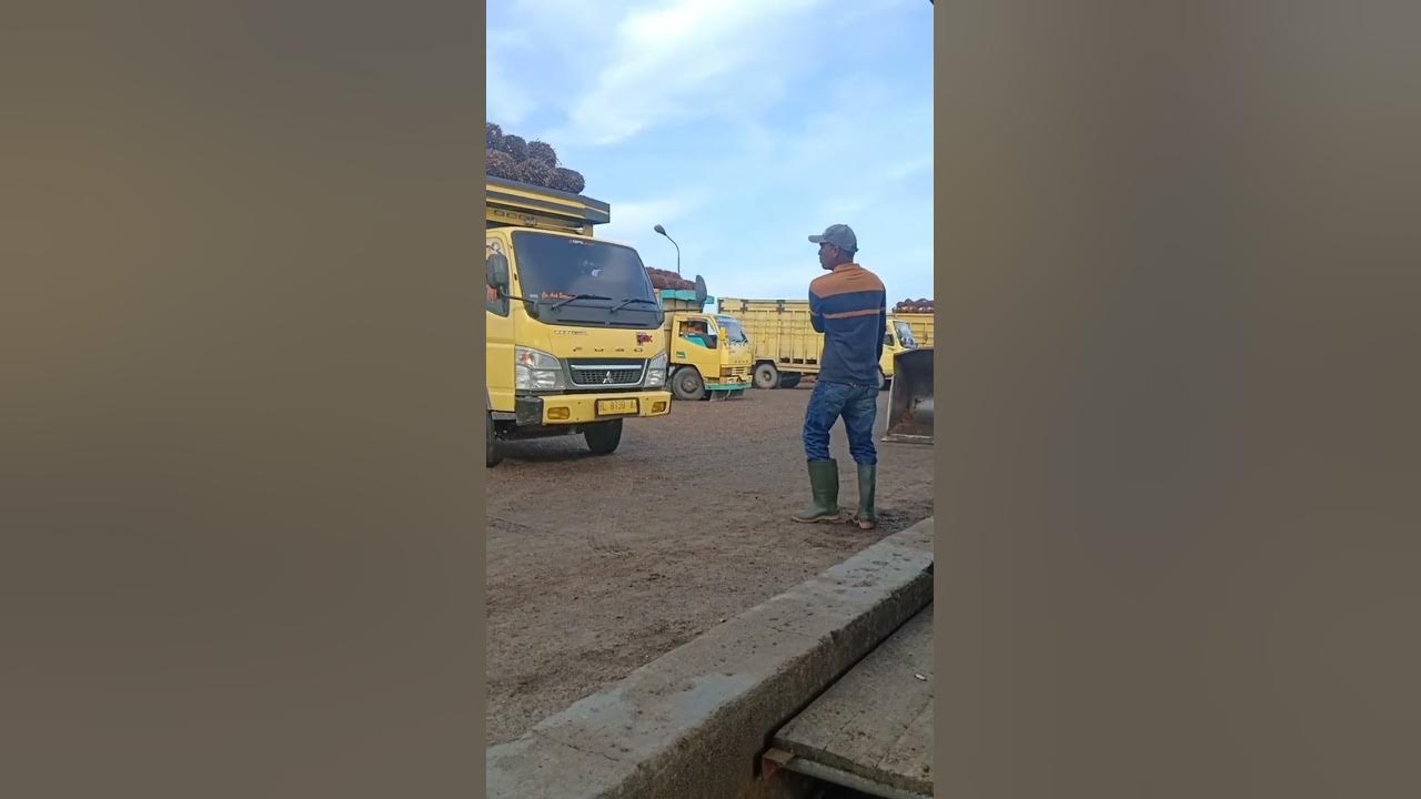 Mobil truk colt disel center hdx super 6 6 turbo diesel shorts youtube