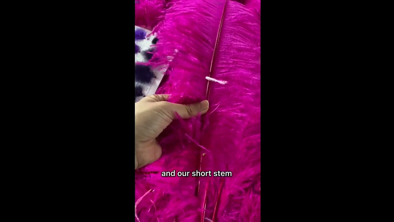 Pink ostrich feather 20 24inch