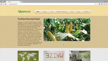 TASSEL command line interface