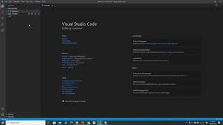 Famous Dart Tutorial 5 Hello Word first code to test dart sdk is working Wealth