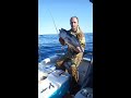 Ловля  Синего Тунца Владивосток. Bluefin tuna popping  Vladivostok