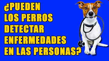 ¿Sabe mi perro que estoy enfermo?