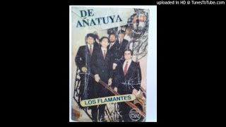 Video thumbnail of "LOS FLAMANTES DE AÑATUYA  - SANTIAGO DEL ESTERO - material completo"