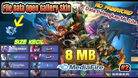 File Data Open Gallery Achievement Skin MLBB - 100%Work No Clickbait || No Password Patch Terbaru #2