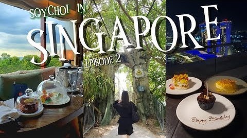 🇸🇬 ep.2 | 싱가포르 여행만 3회차의 pick 또간집과 new맛집, 호캉스, 유명 스팟으로 꽉 채운 2박 3일