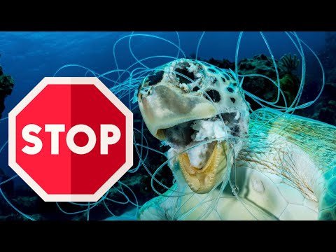 The Silent Killer? Microplastics In Your 5-Gallon Water Jug