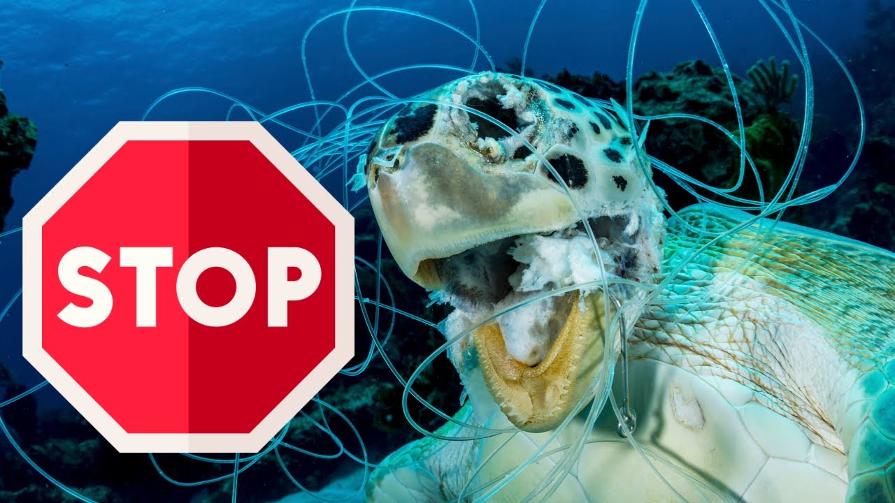 Plastic Waste: The Silent Killer of Our Planet