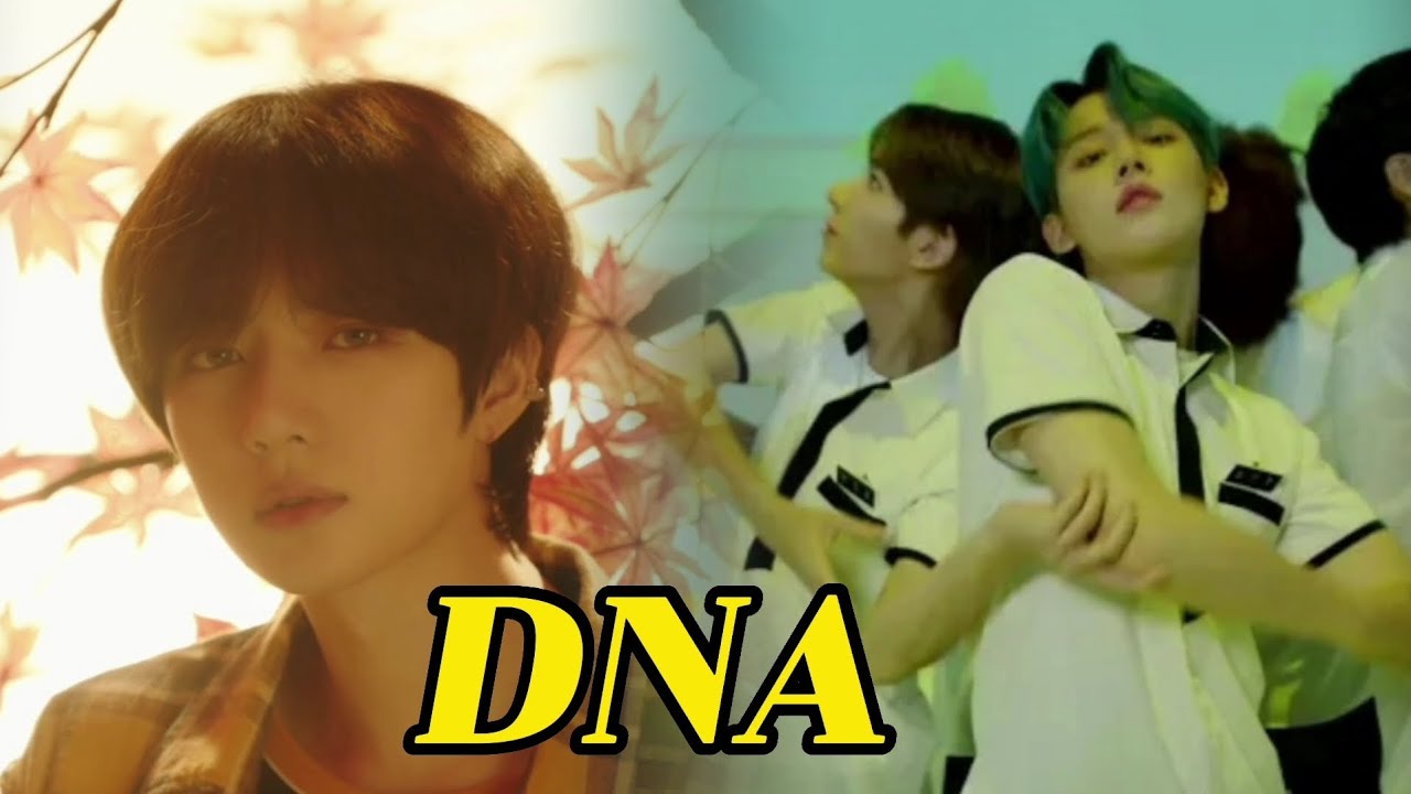 [FMV] 우린 다음 생에도 영원히 함께니까 || TXT-DNA(Original song:BTS - YouTube