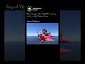 Dog of Wisdom (2015) by Joe: A surreal 3D meme. Dog in plane meets wise dog. Famous for .Ba Ha Ha.