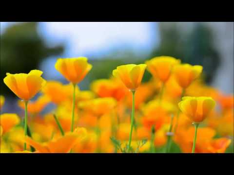 Prism（YUKI）－自作カラオケ～歌がうまけりゃ歌いたい